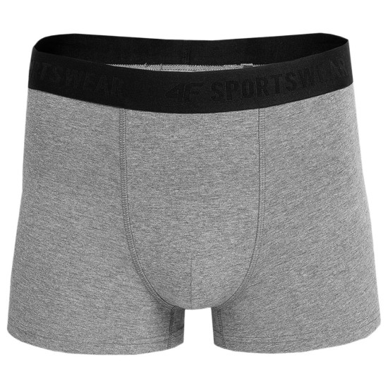 4F Ανδρικό εσώρουχο boxer 2-Pack